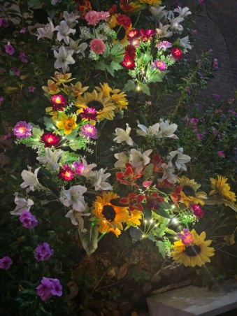 IMG_20261013_053831-339x452.jpg